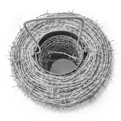 Forte sicurezza acciaio al carbonio CBT65 BTO30 BTO-22 Roll Concertina doppio filo lame rasoio filo spinato per recinzione durevole
