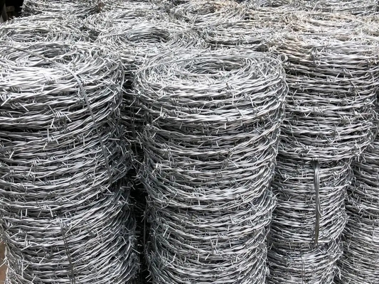 Grande protezione garantita filo di acciaio galvanizzato doppio anello rasoio filo spinato recinzione per l'allevamento su autostrada praterie di confine