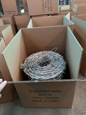Grande protezione garantita filo di acciaio galvanizzato doppio anello rasoio filo spinato recinzione per l'allevamento su autostrada praterie di confine
