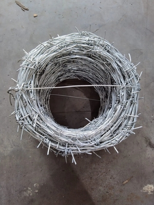 Lunghezza della barba 1,5 cm-3,0 cm filo di ferro PVC rivestito o galvanizzato filo rasoio Concertina con elevata resistenza alla trazione