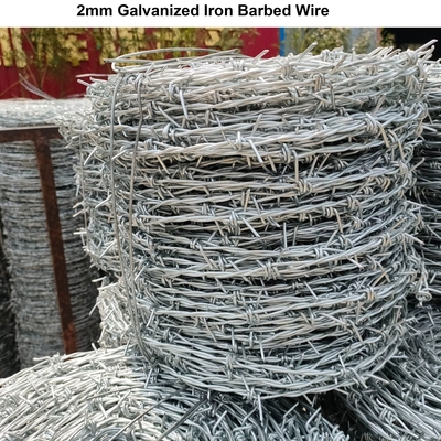 Lunghezza della barba 1,5 cm-3,0 cm filo di ferro PVC rivestito o galvanizzato filo rasoio Concertina con elevata resistenza alla trazione