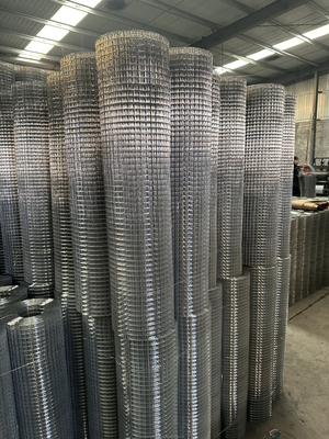 schermo perforato 1/2x1 1x1 galvanizzato a caldo ferro saldato rete di tessuto di filo / 16 calibro elettro galvanizzato quadrato buco rotolo di rete saldata