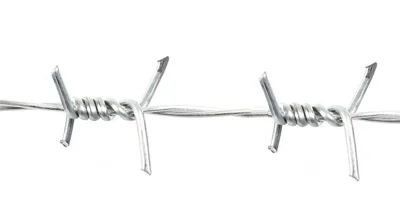 1.4mm-2.6mm rasoio croce galvanizzato a filo spinato recinzione agricola 500M 20Kg per rotolo rasoio tipo filo calibro 1.4mm-2.6mm