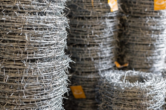 1.4mm-2.6mm rasoio croce galvanizzato a filo spinato recinzione agricola 500M 20Kg per rotolo rasoio tipo filo calibro 1.4mm-2.6mm