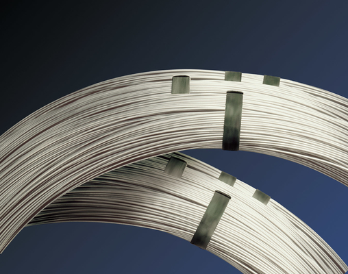 304 316 201 316 l 430 420 309 S Filato di acciaio inossidabile in colata 410 ss filo 0,13 mm filo in acciaio inossidabile destinato alla fabbricazione