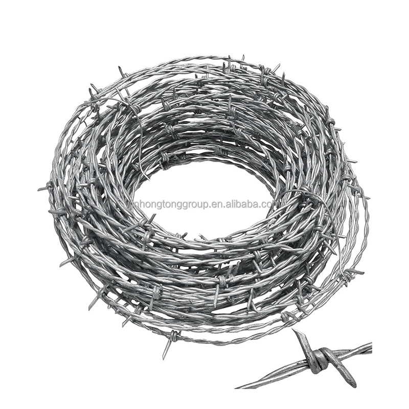 17 anni di esperienza 12 calibro filo galvanizzato a caldo spina filo spinato per progetti di sicurezza